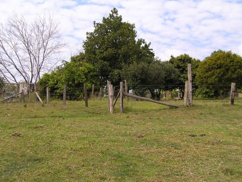 Imbil QLD 4570