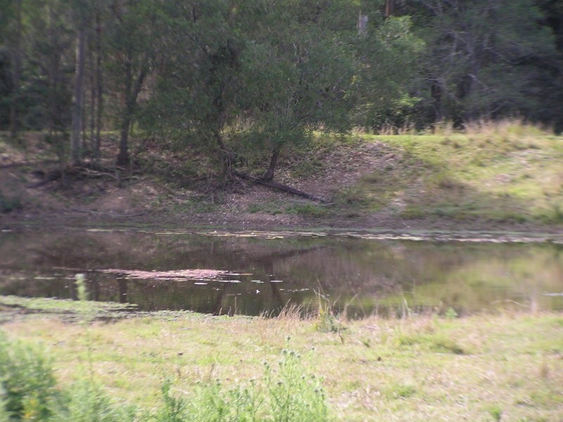 Imbil QLD 4570