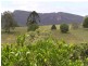 Brooloo QLD 4570