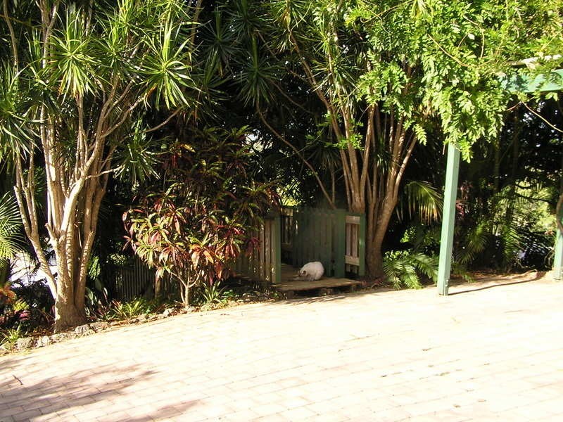 18 York, Imbil QLD 4570