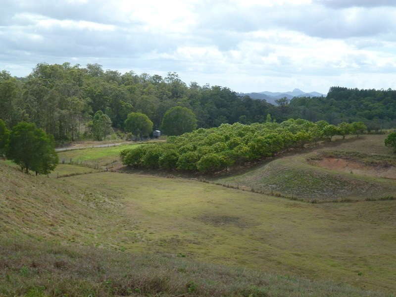 Kandanga QLD 4570
