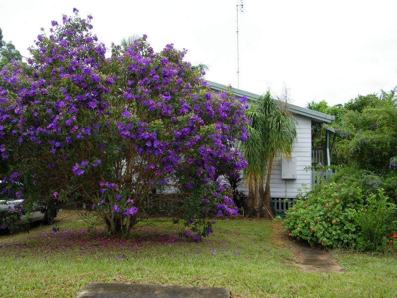 Kandanga QLD 4570