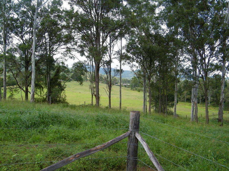 Kandanga QLD 4570
