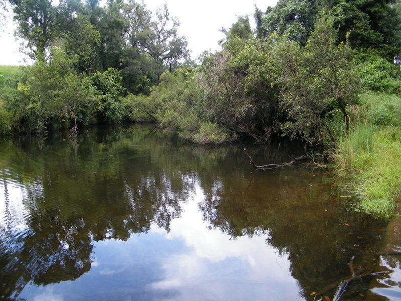 Kandanga QLD 4570