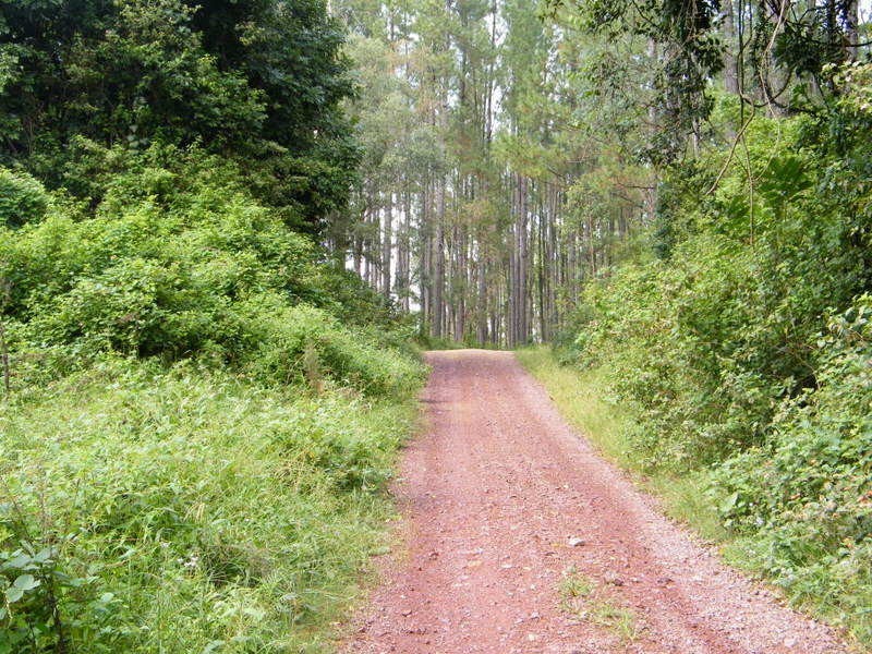 Kandanga QLD 4570