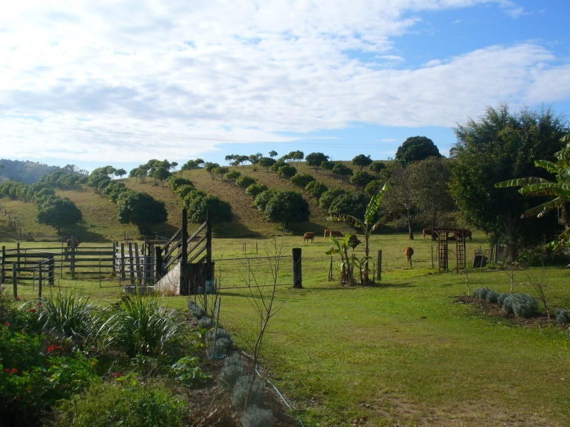 Amamoor QLD 4570