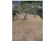 Imbil QLD 4570