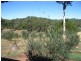 Bollier QLD 4570