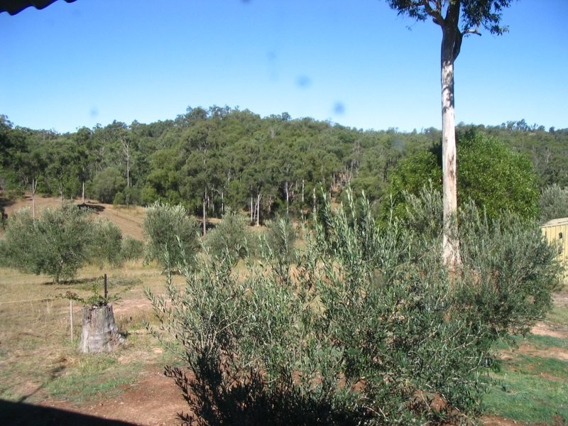 Bollier QLD 4570