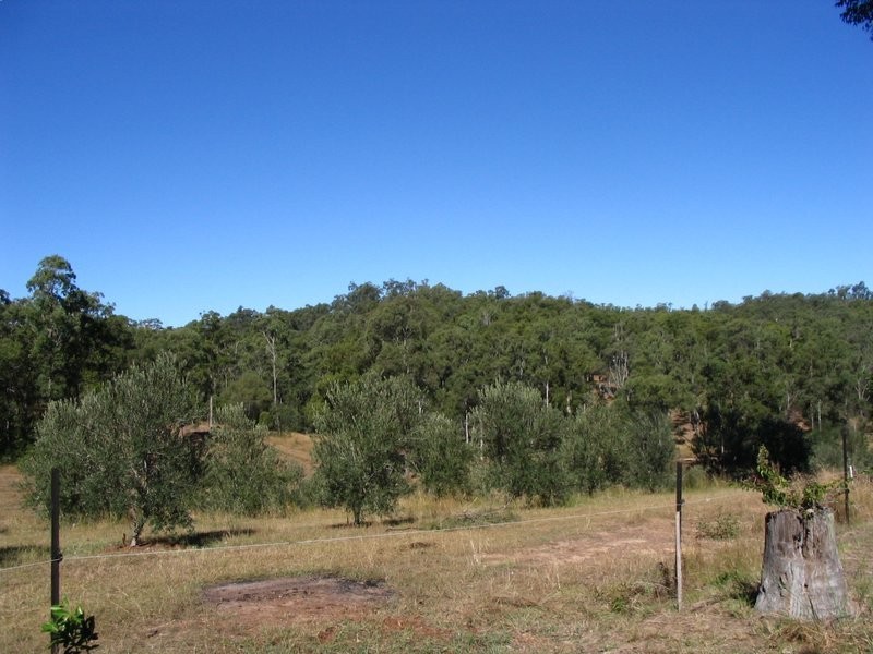 Bollier QLD 4570