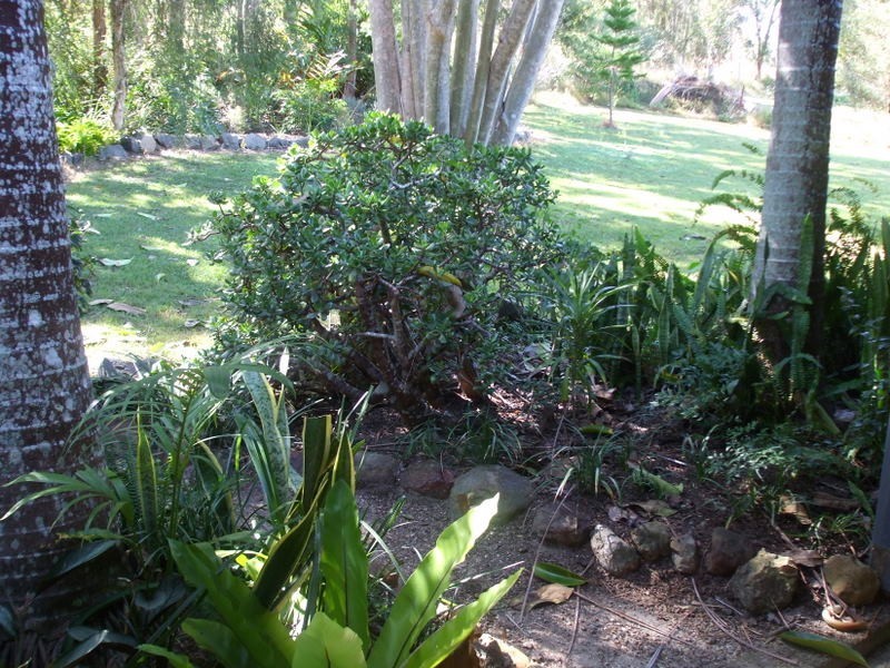 Carters Ridge QLD 4563