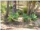 Carters Ridge QLD 4563
