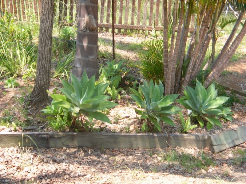 Carters Ridge QLD 4563