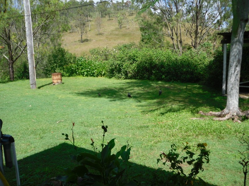 Bella Creek QLD 4570