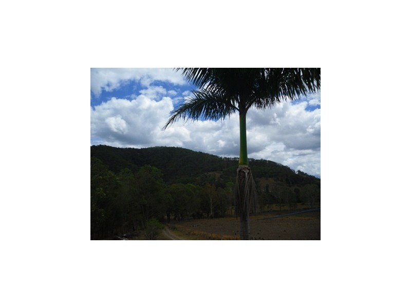 Upper Kandanga QLD 4570