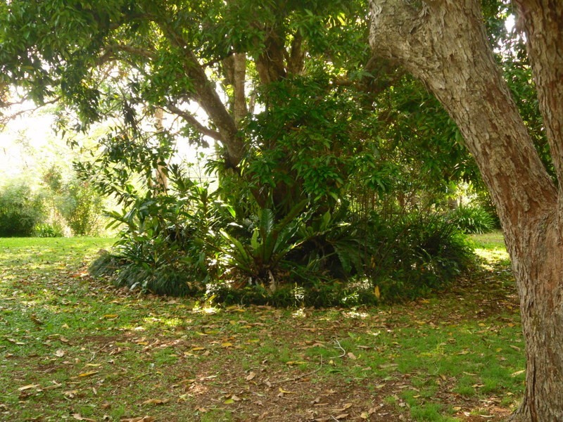 Amamoor Creek QLD 4570