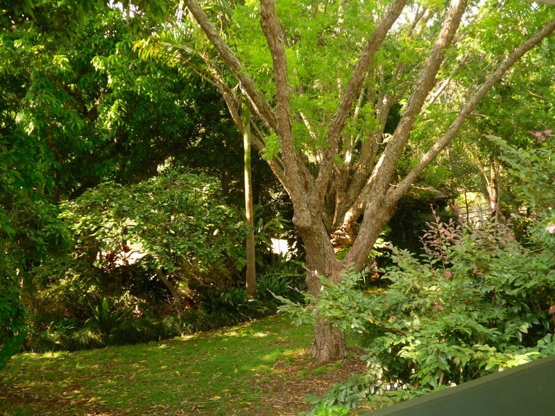 Amamoor Creek QLD 4570