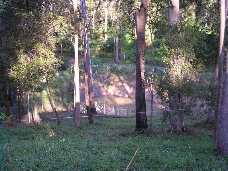 42 Hovea, Carters Ridge QLD 4563