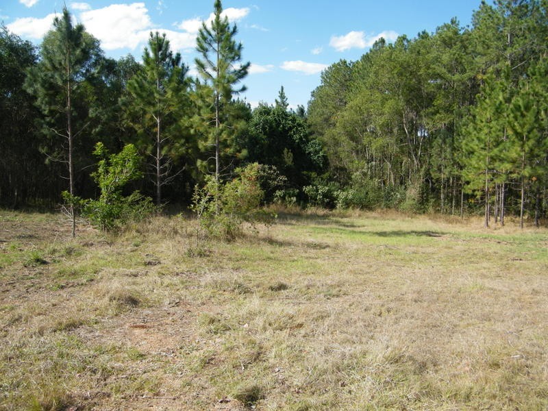 119 Bryant Road, Imbil QLD 4570