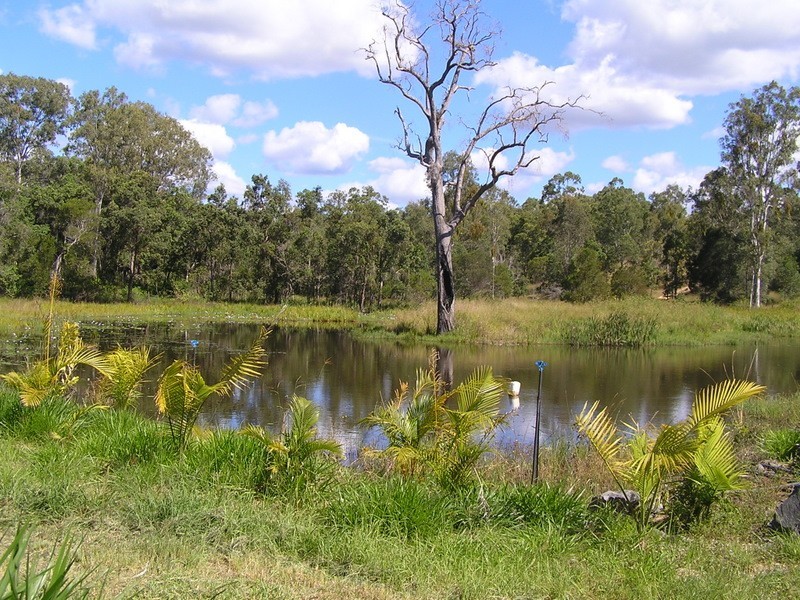Imbil QLD 4570
