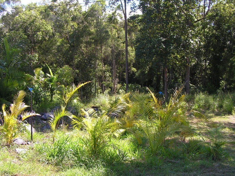 Imbil QLD 4570