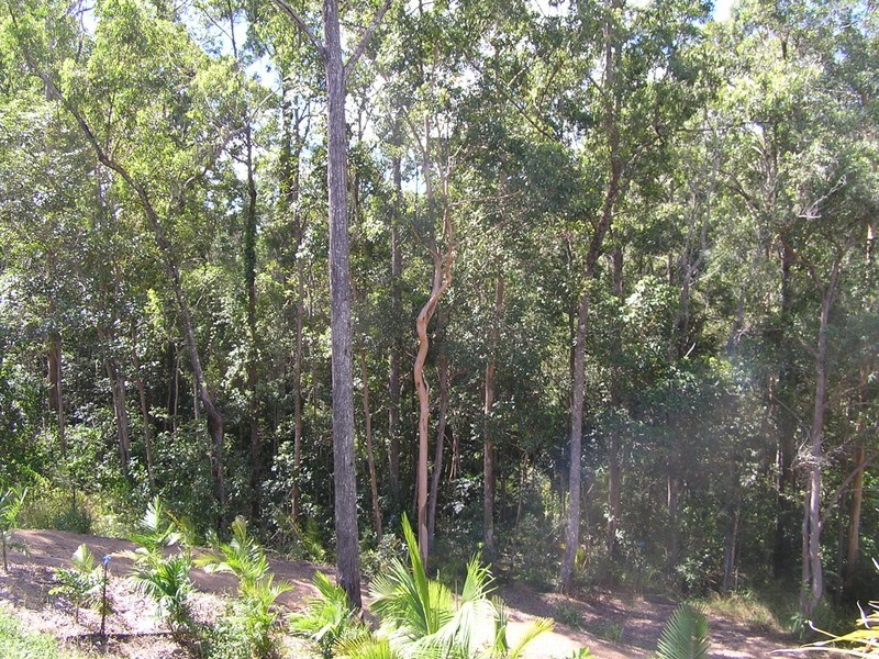 Imbil QLD 4570