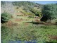 137 Hansen Road, Dagun QLD 4570