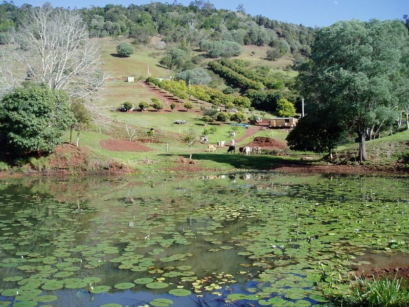 137 Hansen Road, Dagun QLD 4570