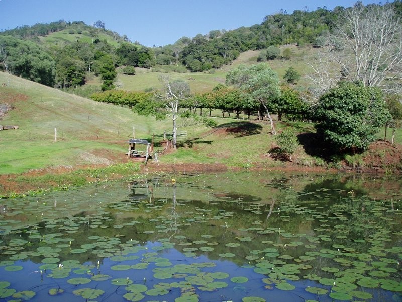 137 Hansen Road, Dagun QLD 4570