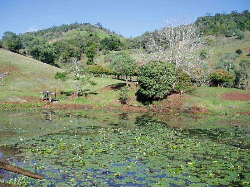 137 Hansen Road, Dagun QLD 4570
