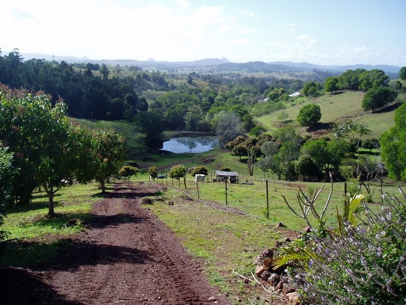 137 Hansen Road, Dagun QLD 4570