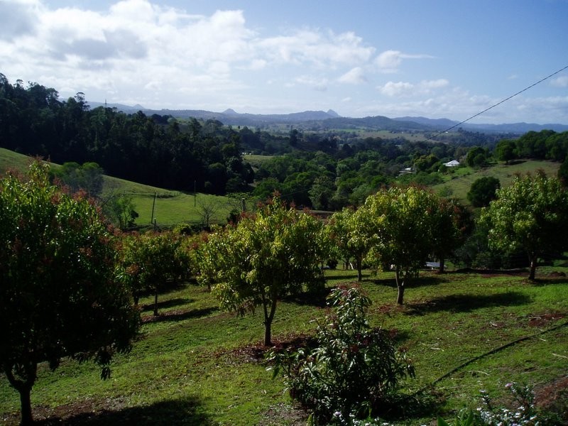 137 Hansen Road, Dagun QLD 4570