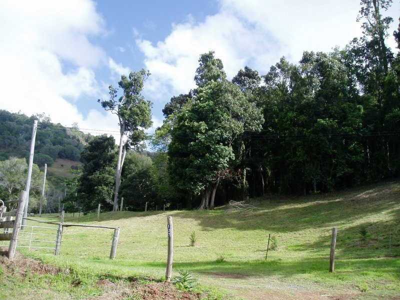 137 Hansen Road, Dagun QLD 4570