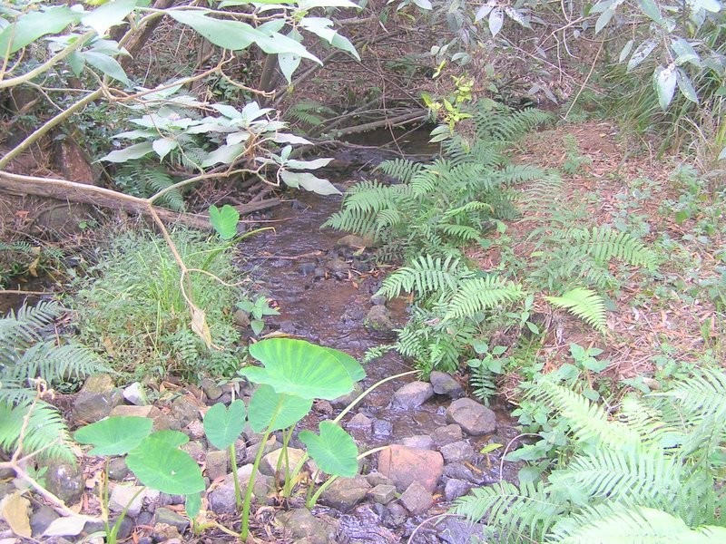 Lot 1 Dagun Road, Dagun QLD 4570