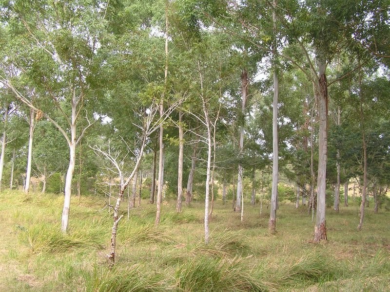 Lot 1 Dagun Road, Dagun QLD 4570