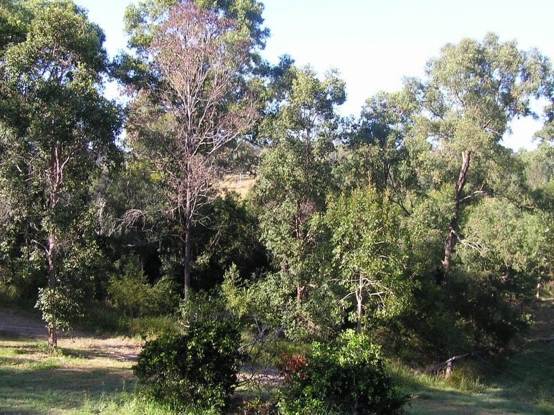 Lot 1 Dagun Road, Dagun QLD 4570