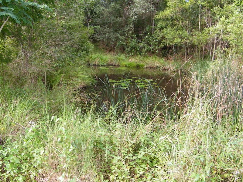 Lot 1 Dagun Road, Dagun QLD 4570