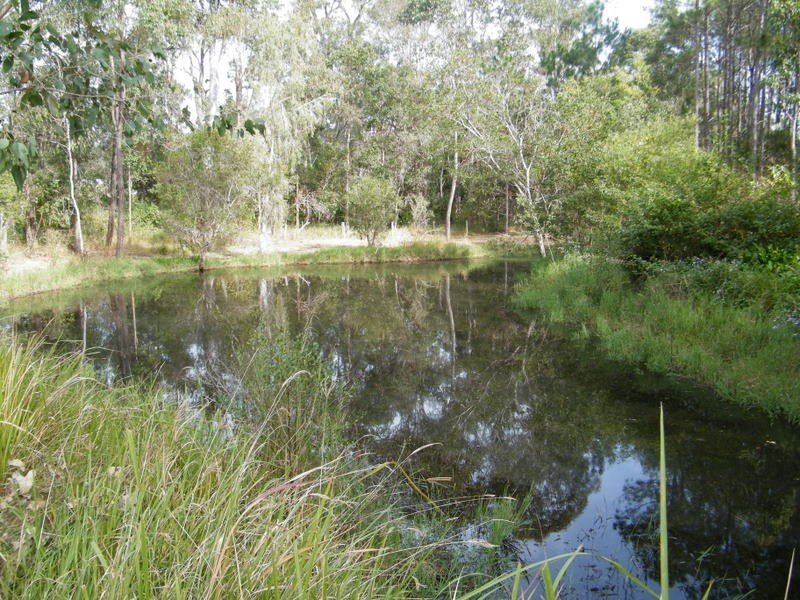 99 Whelan Road, Imbil QLD 4570