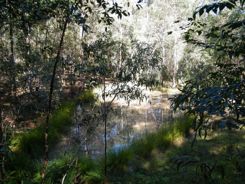 74 Ray Myers Road, Imbil QLD 4570