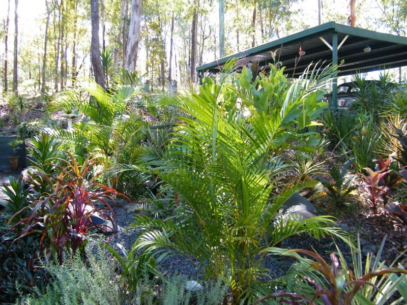 74 Ray Myers Road, Imbil QLD 4570