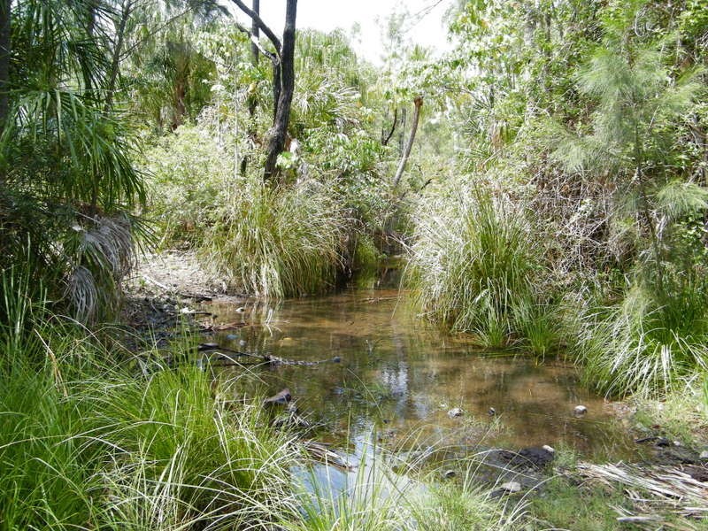 Lot 1 Upper Thornside Road, Widgee QLD 4570