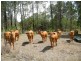Lot 1 Upper Thornside Road, Widgee QLD 4570