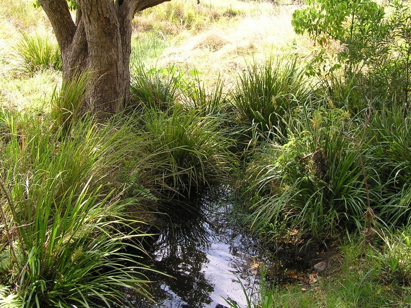 Dagun QLD 4570