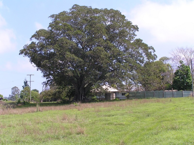 Dagun QLD 4570
