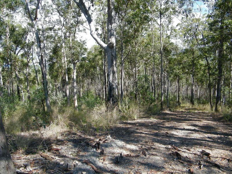 Lot 13 Michelle Court, Imbil QLD 4570