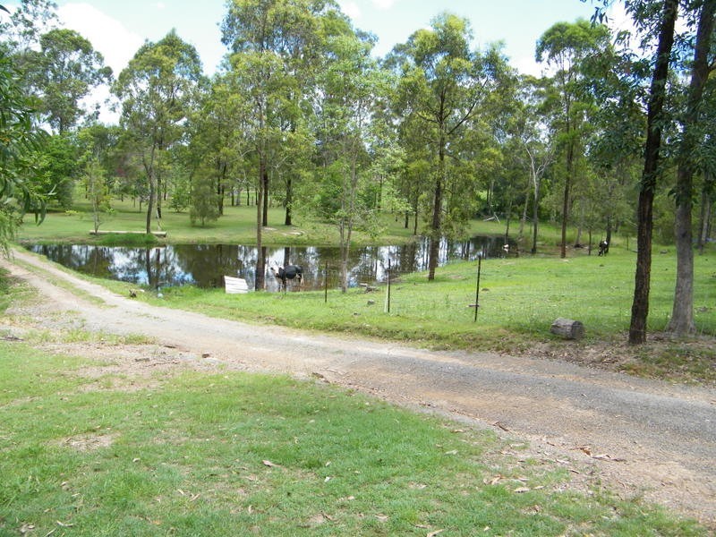 109 Whelan Road, Imbil QLD 4570