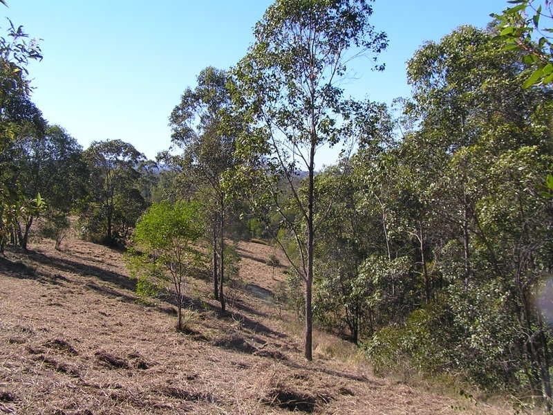 42 Ray Myers Road, Imbil QLD 4570