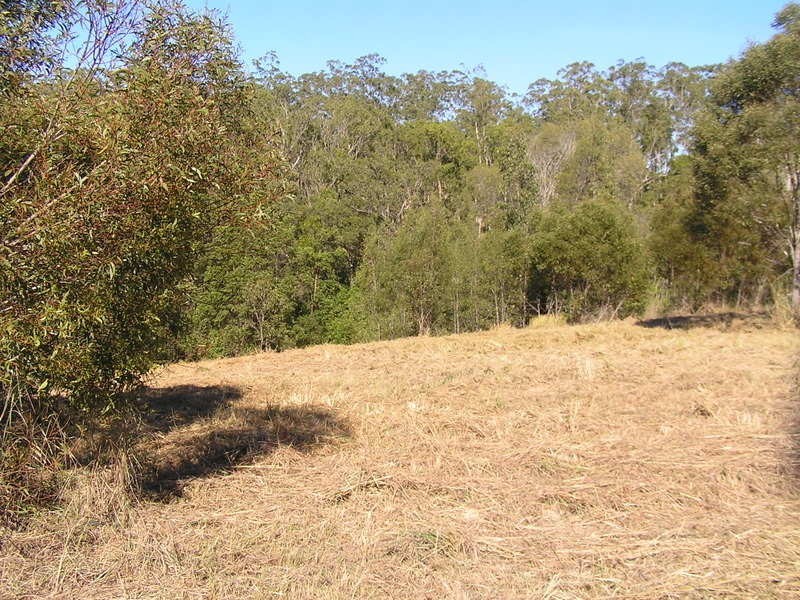 42 Ray Myers Road, Imbil QLD 4570