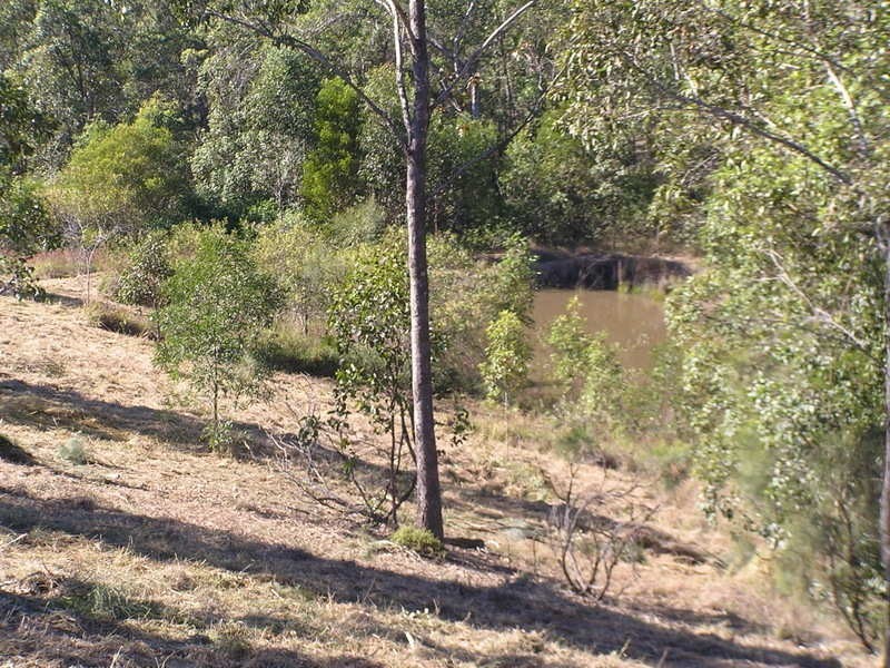 42 Ray Myers Road, Imbil QLD 4570