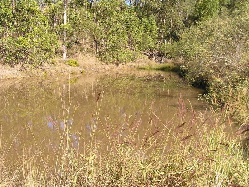 42 Ray Myers Road, Imbil QLD 4570